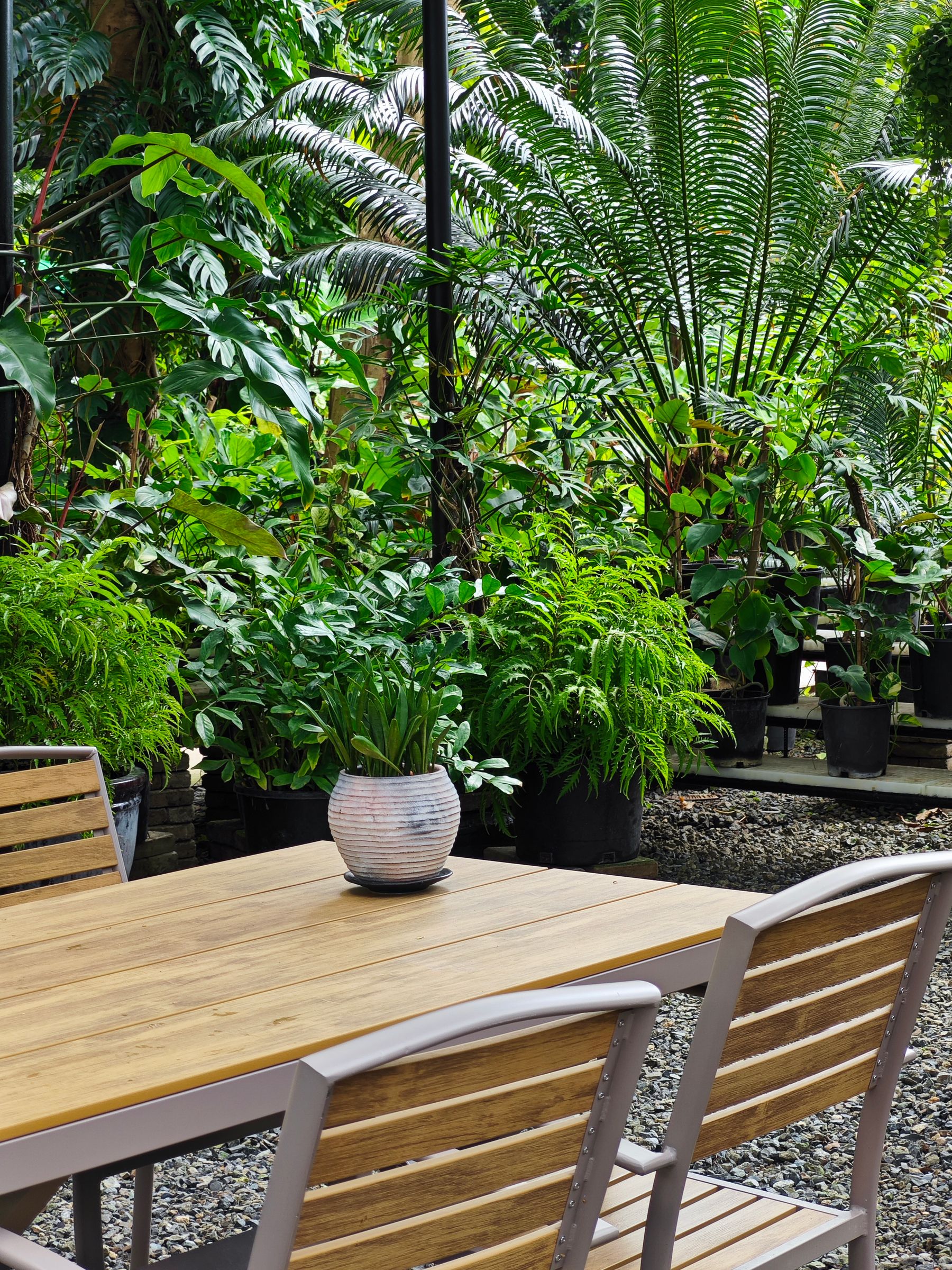 Lush planted garden arranged around an outdoor dining table