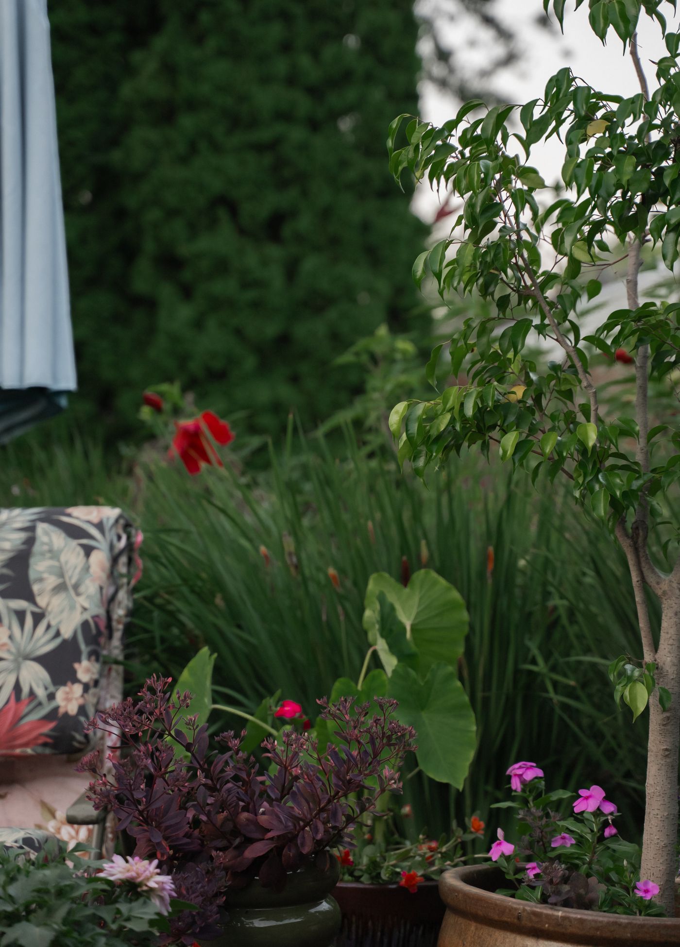 Colourful close planting around a garden seating area