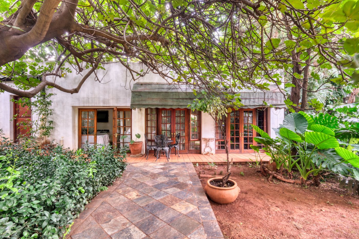Leafy residential garden and patio beside a house